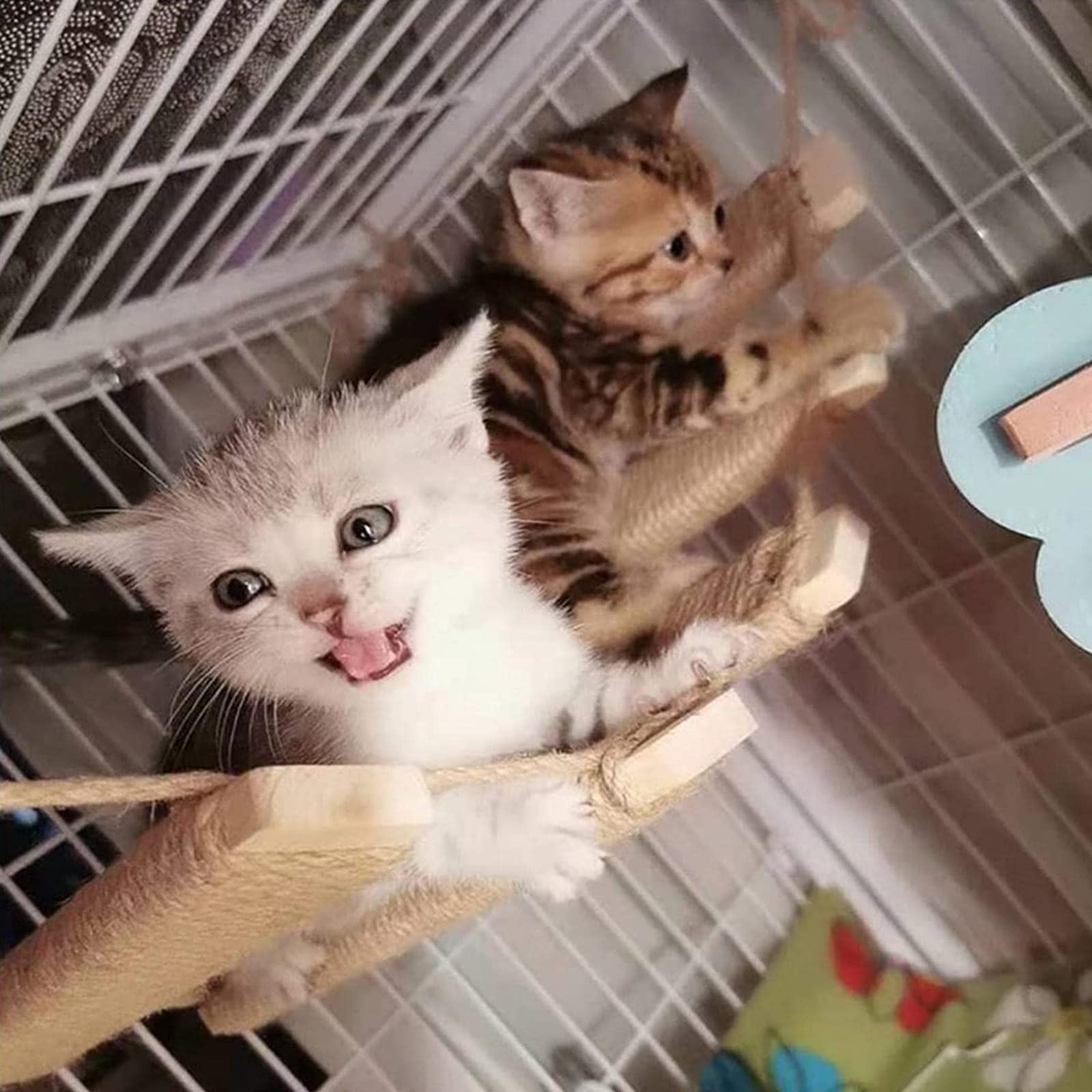 AGRICUE AGRICUE Cat Climbing Frame Bridge Sisal Rope Ladder Pet Furniture Step Scratcher Post Kitten Toys Cat Tree Tower Bridge - View 3 of 6