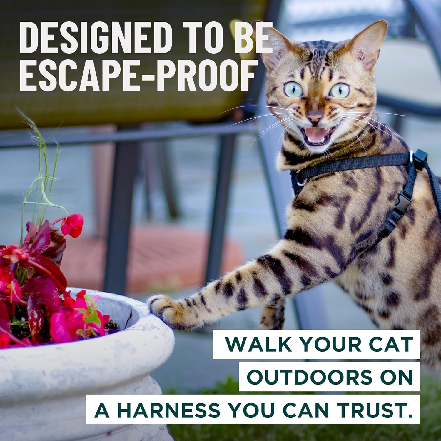 OutdoorBengal Houdini Escape Proof Cat Harness and Leash Set by OutdoorBengal for Walking Cats and Kittens Black Large Cat - View 2 of 9