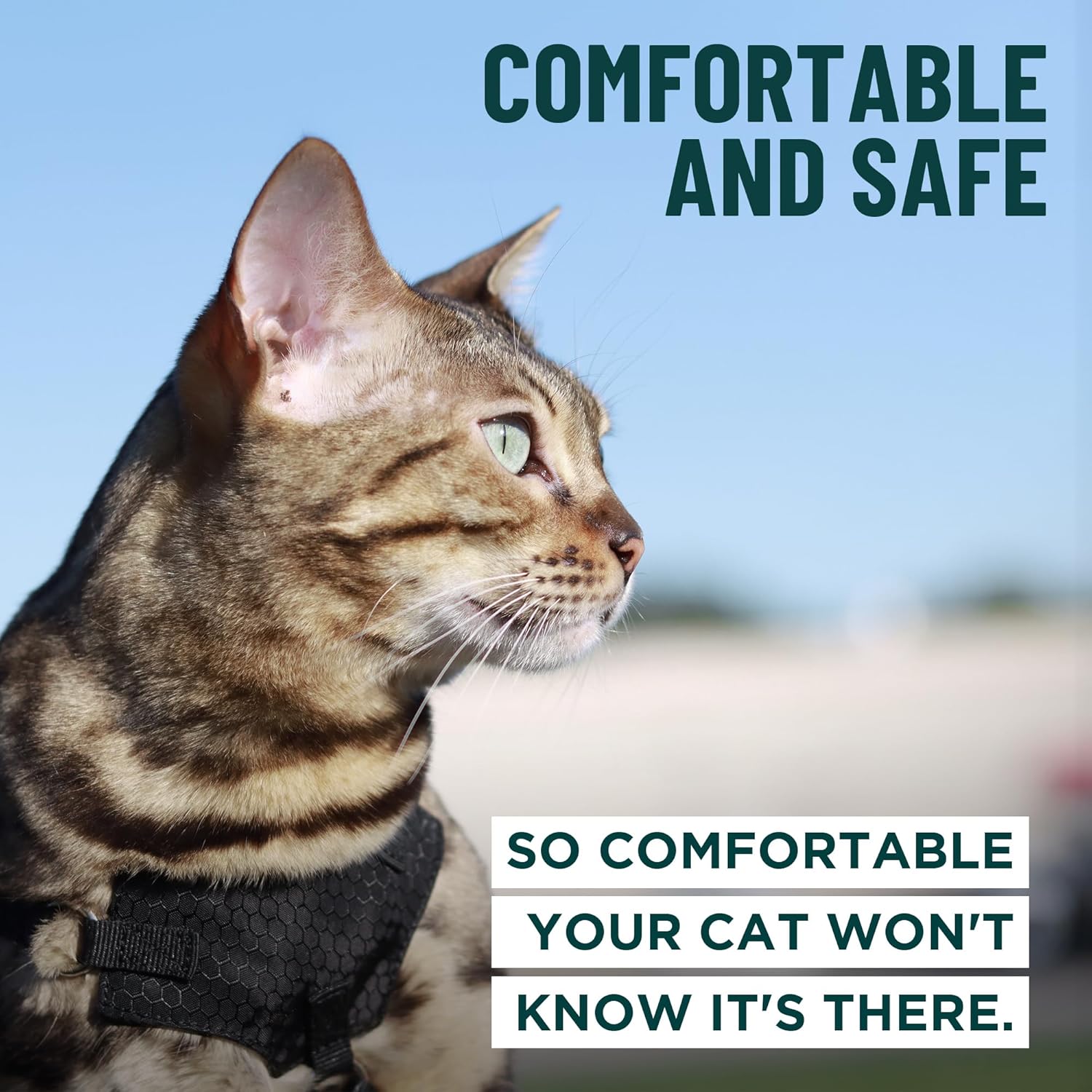 OutdoorBengal Houdini Escape Proof Cat Harness and Leash Set by OutdoorBengal for Walking Cats and Kittens Black Large Cat - View 4 of 9