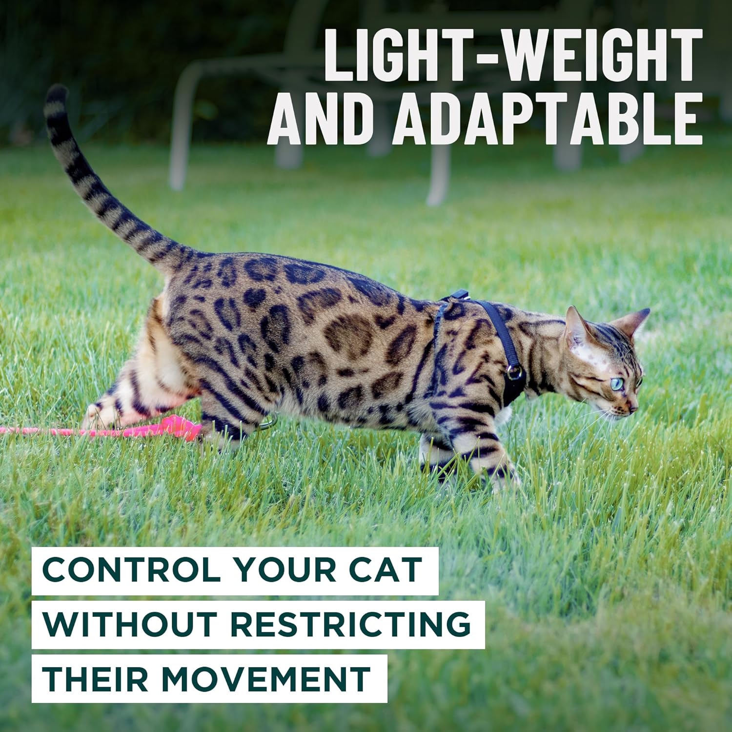 OutdoorBengal Houdini Escape Proof Cat Harness and Leash Set by OutdoorBengal for Walking Cats and Kittens Black Large Cat - View 7 of 9