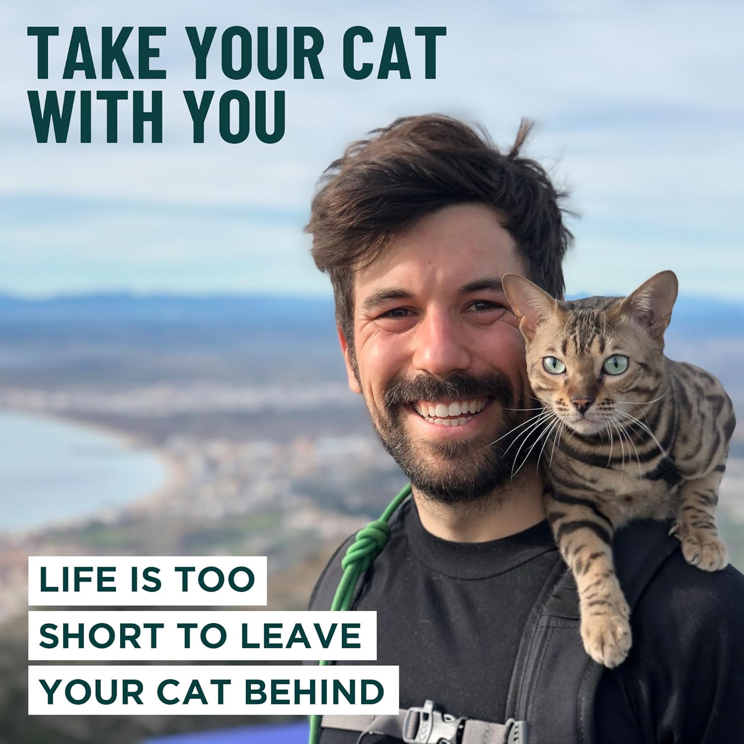 OutdoorBengal Houdini Escape Proof Cat Harness and Leash Set by OutdoorBengal for Walking Cats and Kittens Black Large Cat - View 9 of 9