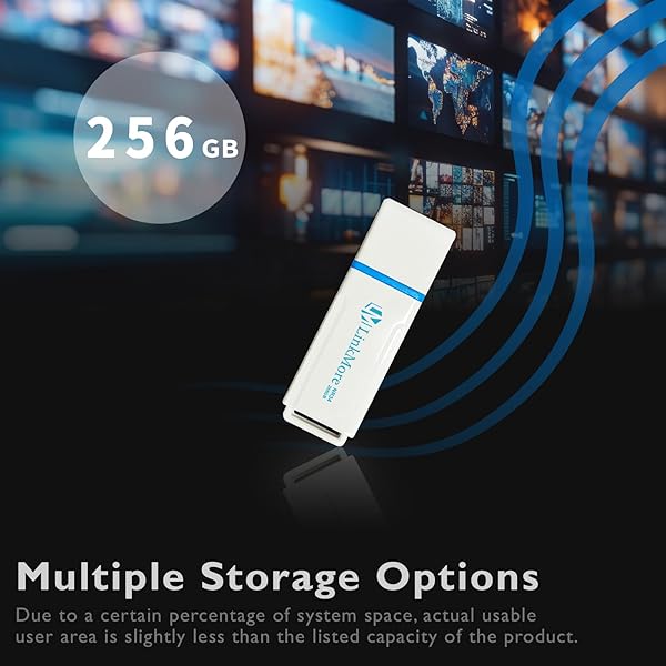 LinkMore LinkMore NR34 256GB USB Flash Drive with Fast Read Speed 120MBs and Write Speed 60MBs for Quick Data Transfer - View 6 of 8