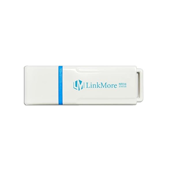 LinkMore LinkMore NR34 256GB USB Flash Drive with Fast Read Speed 120MBs and Write Speed 60MBs for Quick Data Transfer