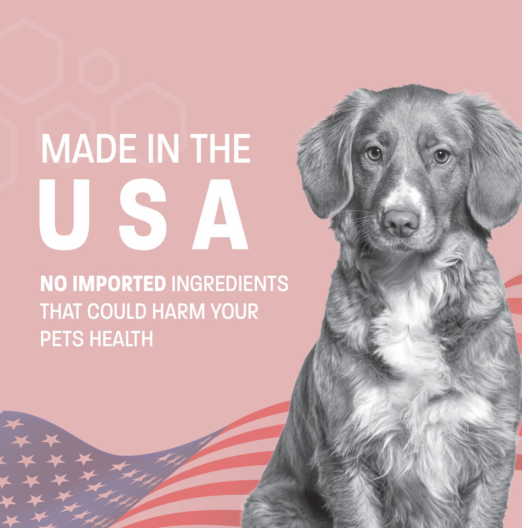 Pet Health Pros Pet Health Pros No Chew Spray for Dogs and Cats Bitter Anti Chew Deterrent to Stop Chewing Furniture Plants and Hot Spots 8 oz - View 5 of 7