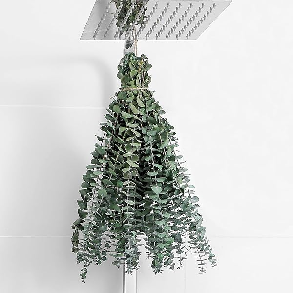 FAVOWREATH "10 Pcs Dried Eucalyptus Stems - 17" Real Eucalyptus for Shower & Home Decor | Perfect for Weddings & DIY Spring Decor"