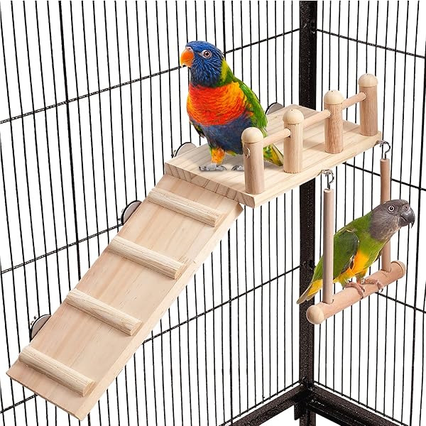 FrgKbTm FrgKbTm Bird Perches Platform Swing with Climbing Ladder for Small Birds Sturdy Wooden Playing Gym Cage Accessories