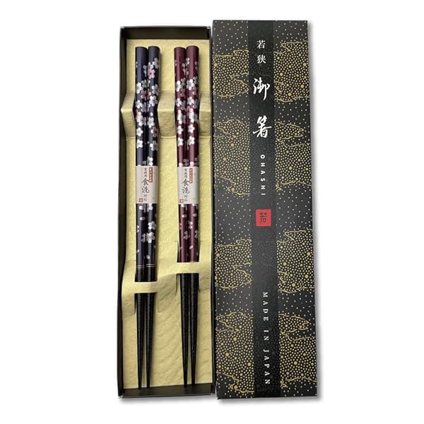 Terra Distribution Premium Japanese Lacquer Chopsticks Set - Reusable 2pcs, Traditional Wooden Design, Made in Japan (Flower Navy/Purple)