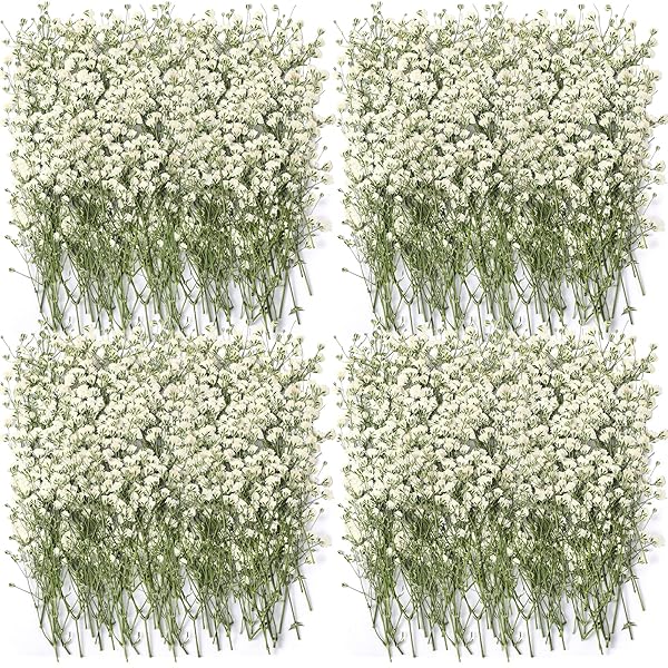 Lasnten Lasnten 200 Pcs Dried Babys Breath Flowers Bulk Ivory White Natural Gypsophila for Wedding Resin Art Craft DIY Invitations Card Making