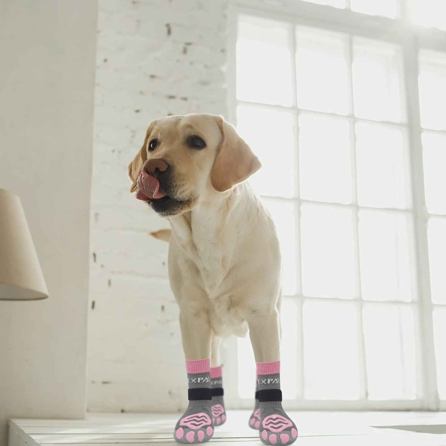 EXPAWLORER EXPAWLORER Anti-Slip Dog Socks for All Seasons Best Paw Protector and Traction Control for Dogs on Hardwood Floors and Pavement - View 7 of 7