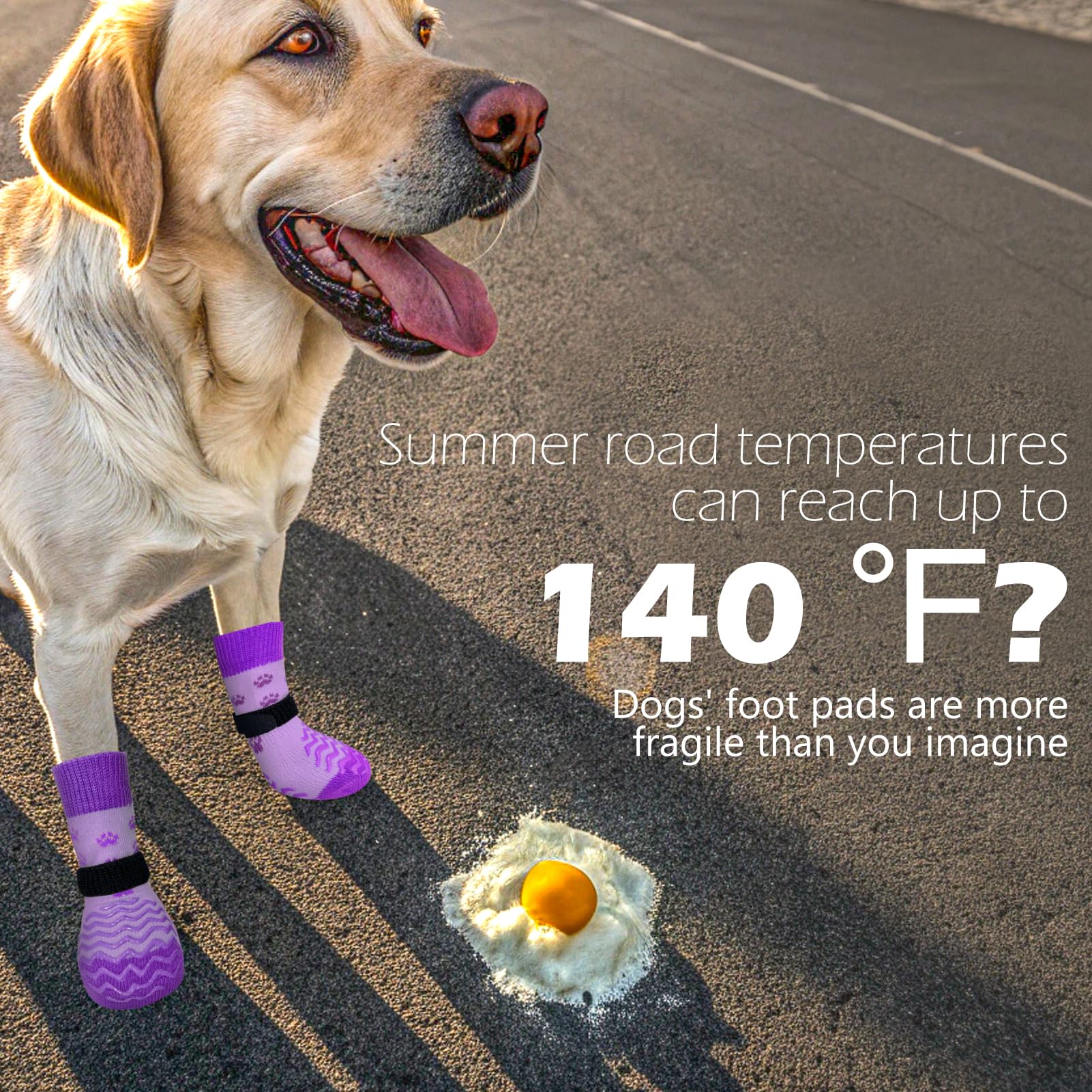 EXPAWLORER EXPAWLORER Anti Slip Dog Socks Winter Dog Boots Paw Protectors for Hardwood Floors Dog Booties for All Weather Small Medium Large Senior Dogs - View 3 of 9