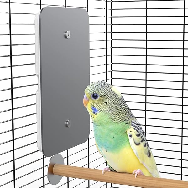 Fenocran Fenocran Indoor Bird Heater Pad USB Warmer for Parakeets 4.5 X 7 Ideal for Keeping Your Birds Warm and Comfortable
