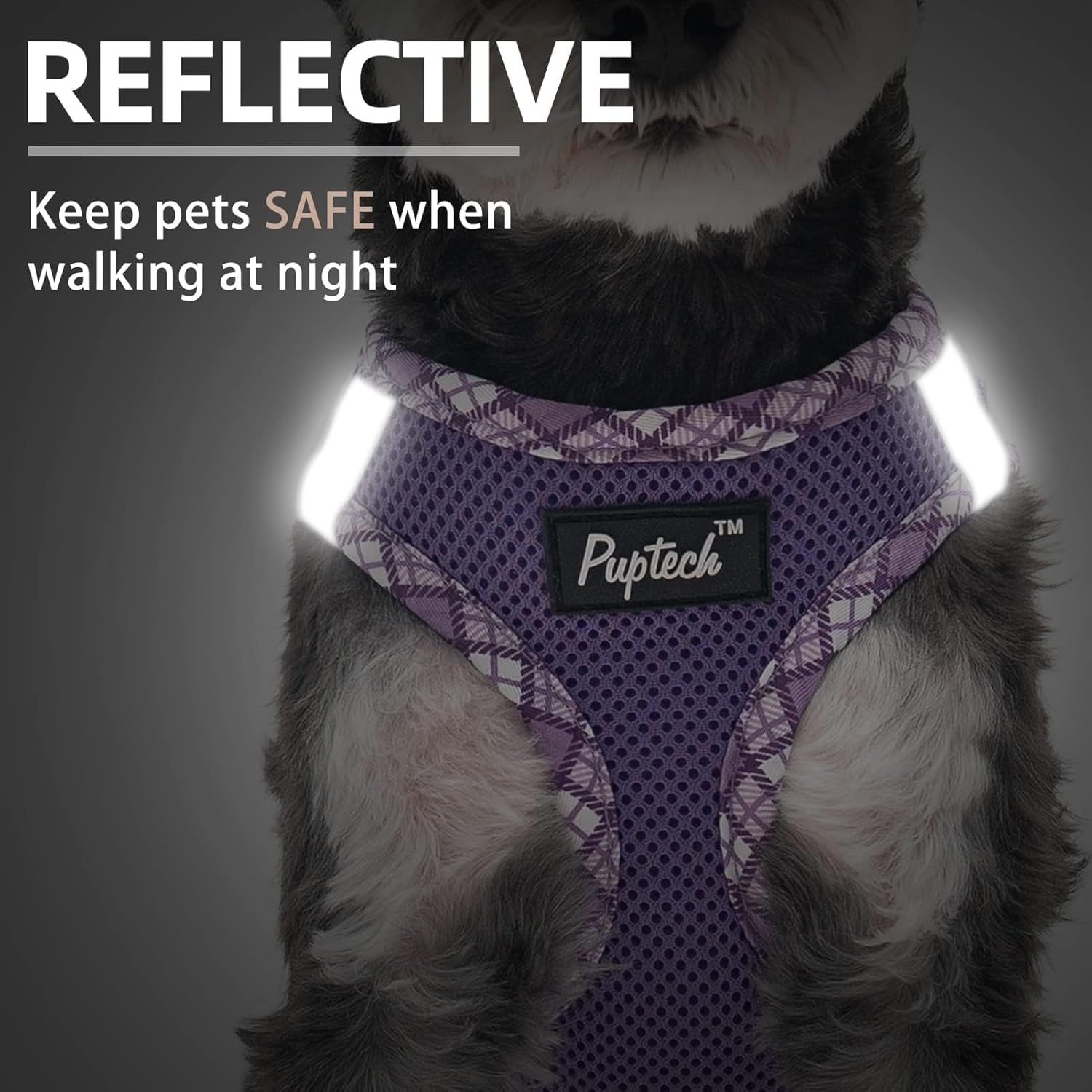 PUPTECK PUPTECK Dog Harness and Leash Set for Small Medium Dogs No Pull Soft Mesh Vest Reflective Purple XS - View 5 of 6