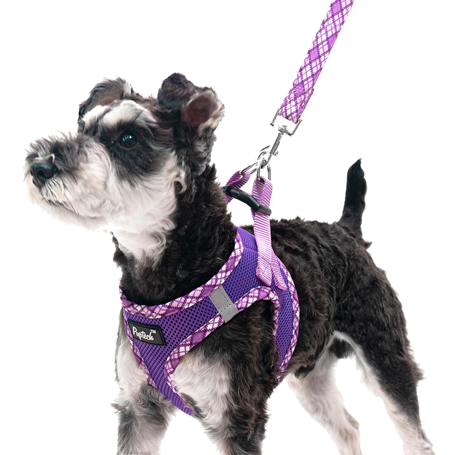 PUPTECK PUPTECK Dog Harness and Leash Set for Small Medium Dogs No Pull Soft Mesh Vest Reflective Purple XS