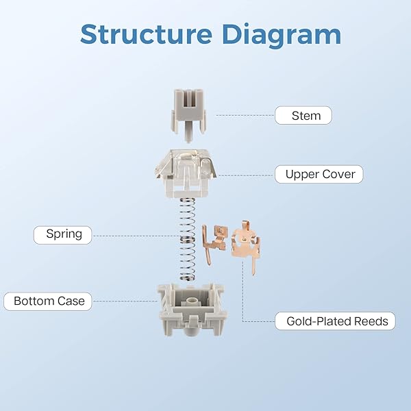EPOMAKER EPOMAKER LEOBOG Graywood V3 Linear Switch Set - 100 Pre-lubed 40gf 3-Pin Switches for Custom Gaming Keyboards - View 6 of 9