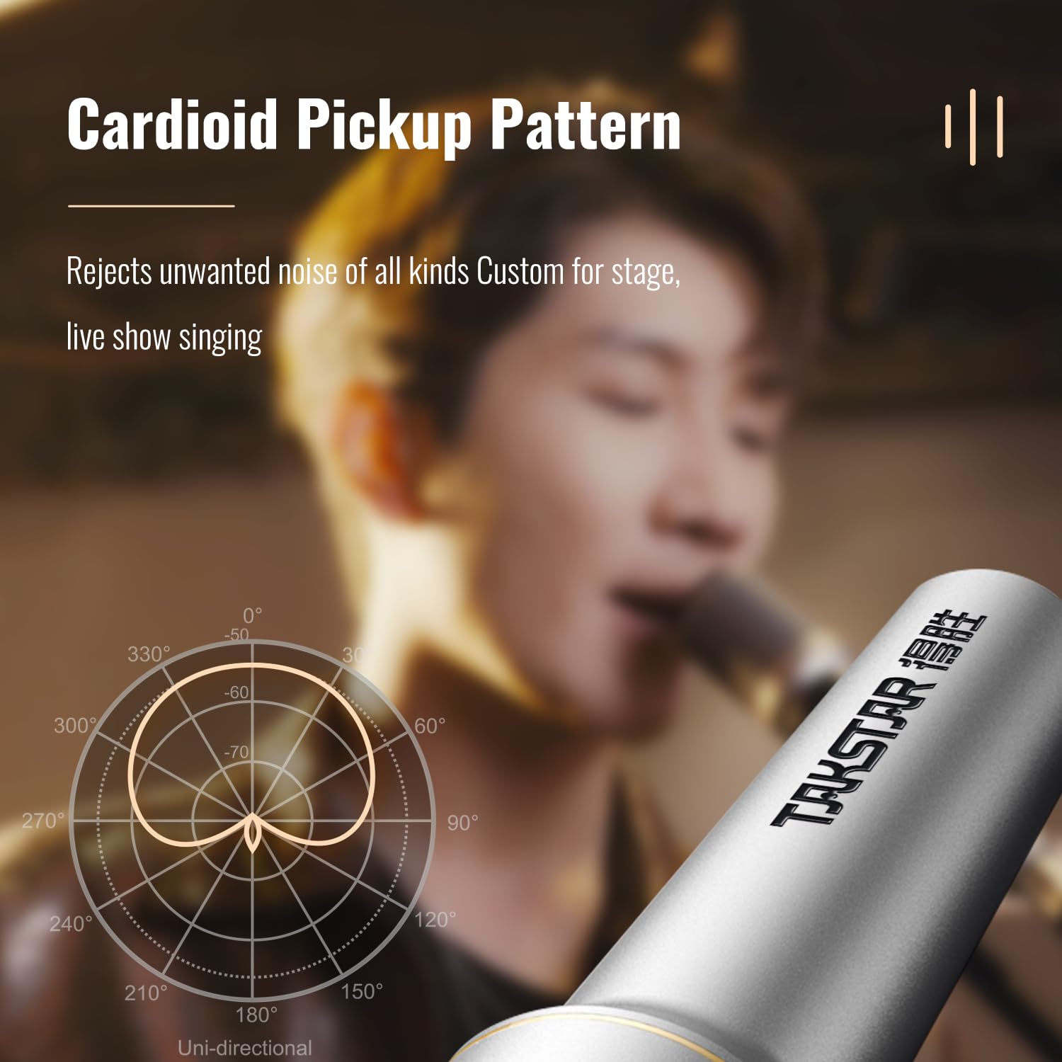 TAKSTAR TA-68 Vocal Microphone Pro Quality Dynamic Mic for Stage Studio Podcasting with Shock-Mounted Cartridge and Metal Suitcase - View 4 of 7