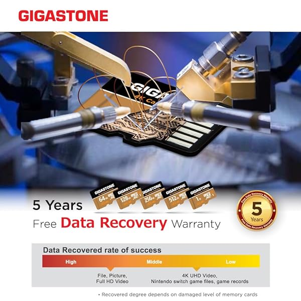 Gigastone Buy Gigastone 1TB Micro SD Card - 160/130 MB/s for GoPro, Action Cameras & 4K UHD Video | UHS-I U3 A2 C10 - View 7 of 7