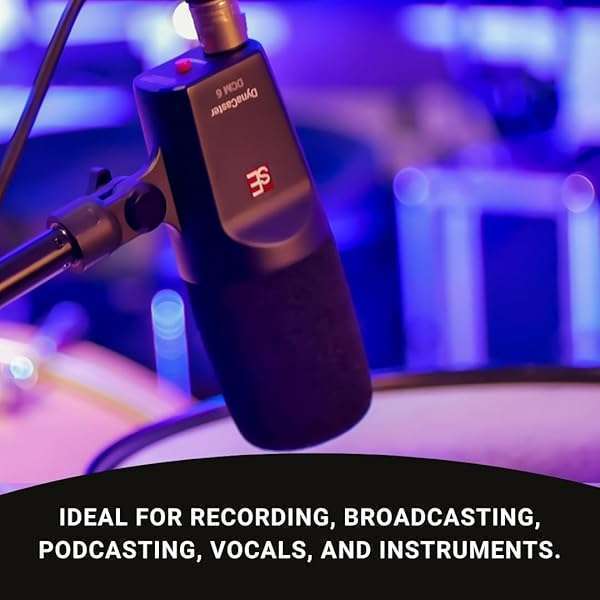 SE ELECTRONICS SE Electronics DCM6 Dynacaster Microphone Review: Best Broadcast Mic for Quality Sound - View 9 of 9