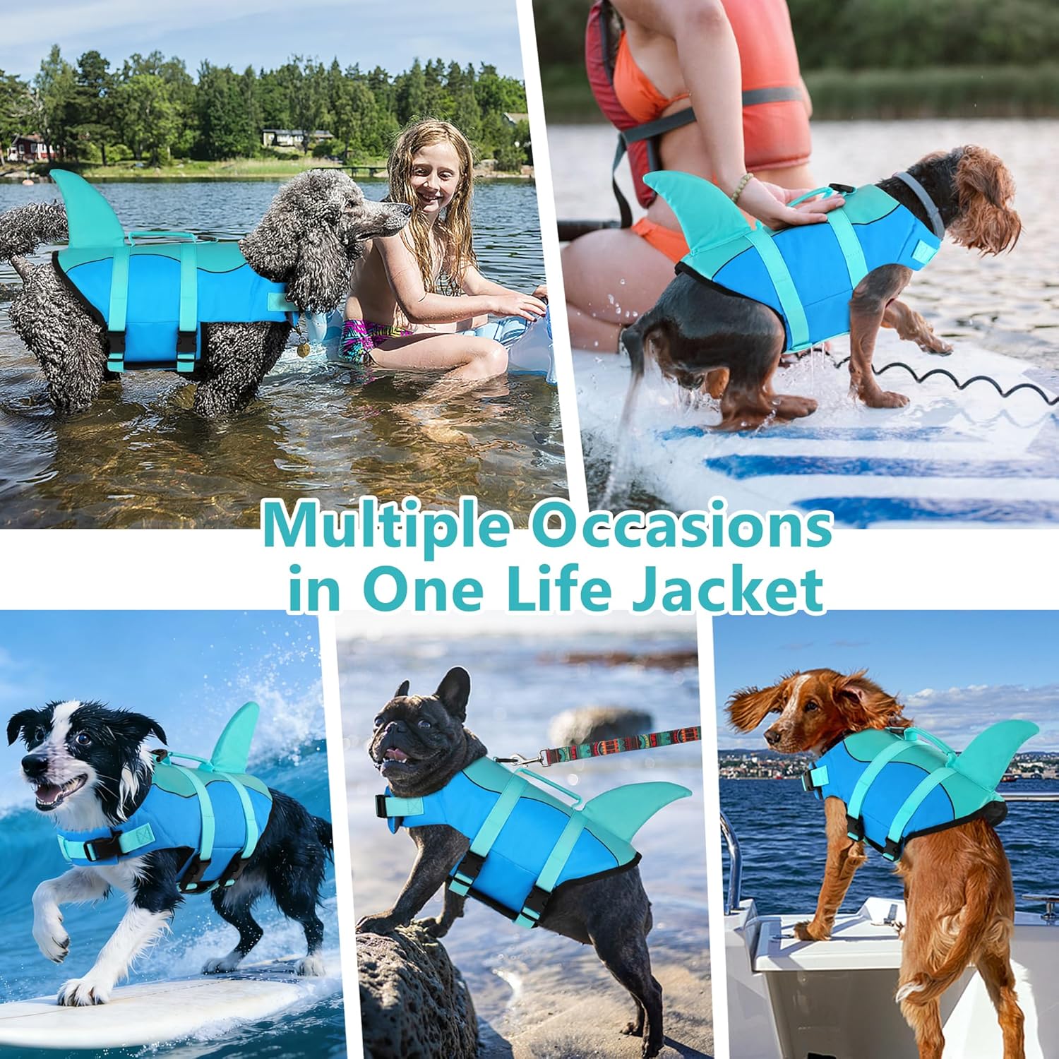 Dogcheer Dogcheer Dog Life Jacket Cute Shark Vest for Swimming Boating Adjustable Buoyancy Rescue Handle for Small Medium Large Dogs Pool Blue - View 6 of 9