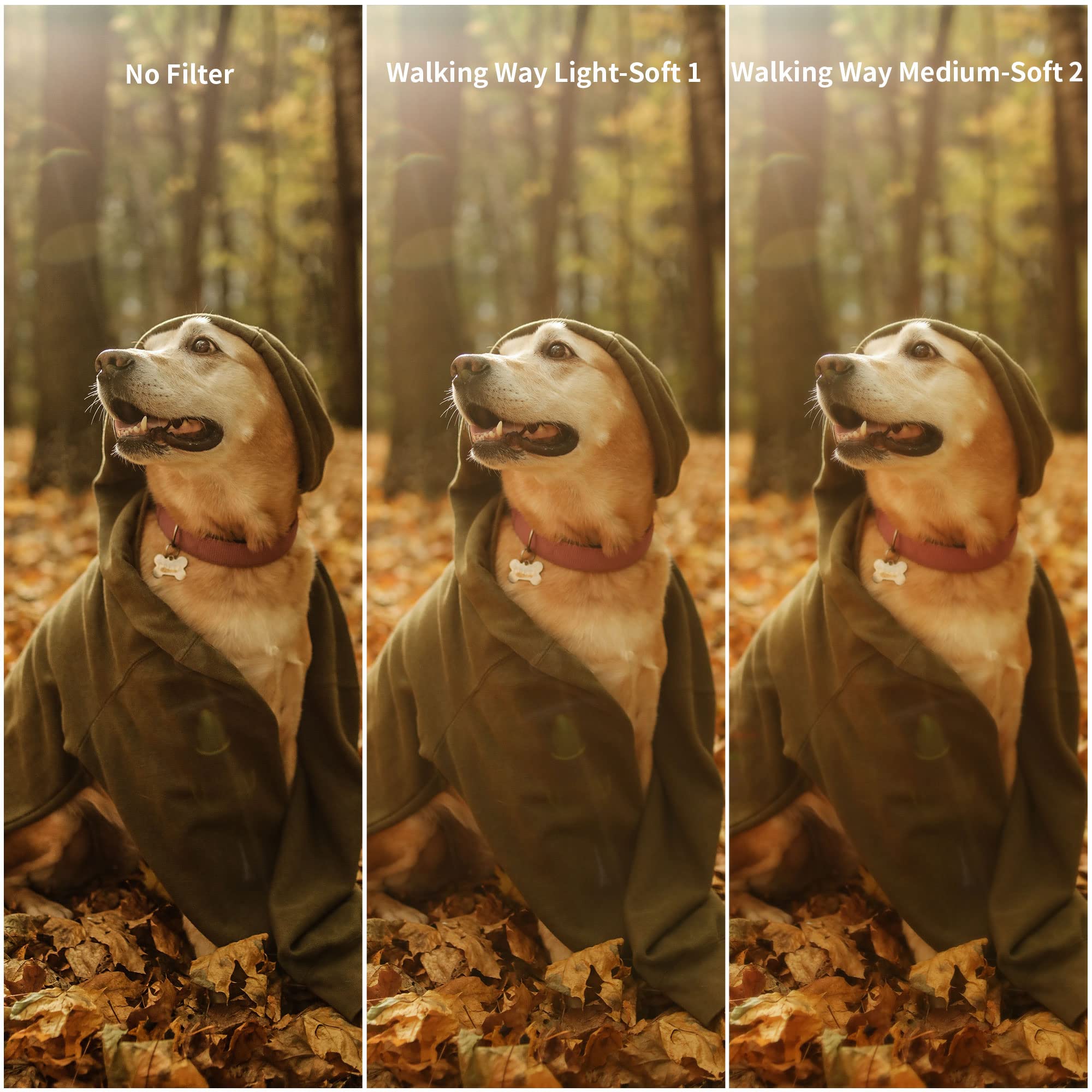 Walking Way Walking Way 77MM White Mist Diffusion Filter Set for DSLR Camera Soft Focus Dreamy Fog Effect 2pcs - View 7 of 7