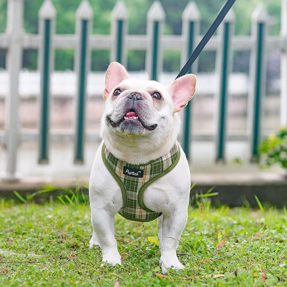 PUPTECK PUPTECK Soft Mesh Dog Harness and Leash Set Olive Green XS Comfortable No Pull Vest for Puppies and Cats - View 7 of 8