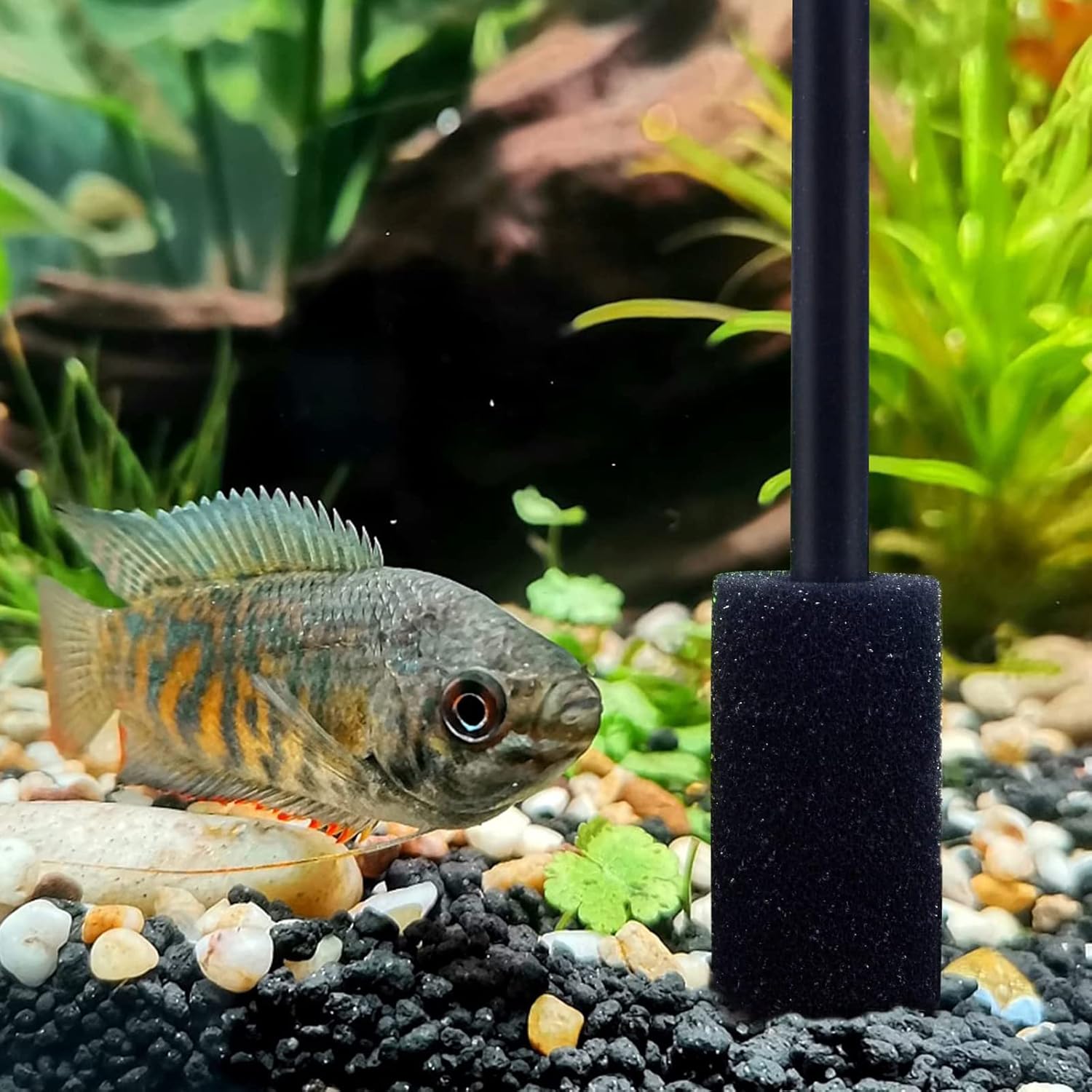 ATITOWEL ATITOWEL 4 Packs Aquarium Filter Intake Foam for Aquaclear and Fluval C3 C4 Sponge Filters - View 4 of 5