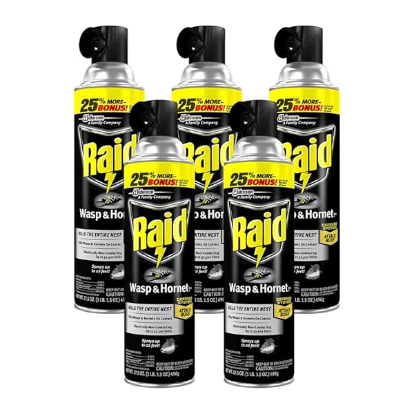 Raid Raid Wasp and Hornet Killer 17.5 Oz - Pack of 5 | Fast-Acting Insect Control for Your Home