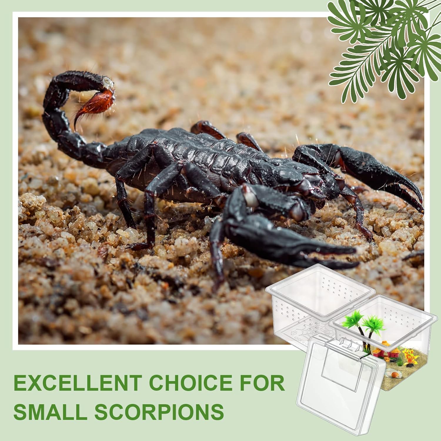 Nuanchu 20 Pcs Insect Spider Terrariums Breeding Box Transparent Reptile Hatching Container for Scorpion Gecko Tortoise Centipede Tarantula - View 5 of 7