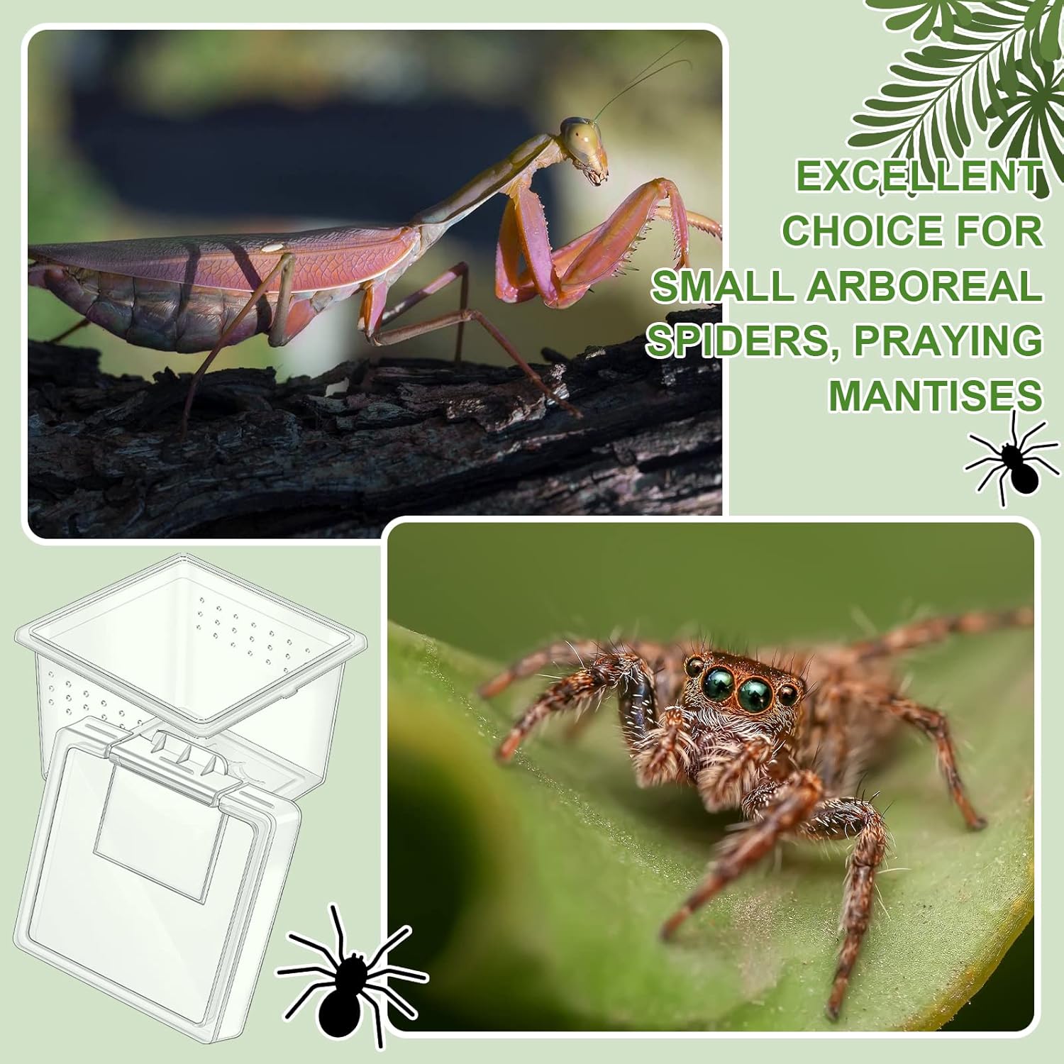 Nuanchu 20 Pcs Insect Spider Terrariums Breeding Box Transparent Reptile Hatching Container for Scorpion Gecko Tortoise Centipede Tarantula - View 6 of 7