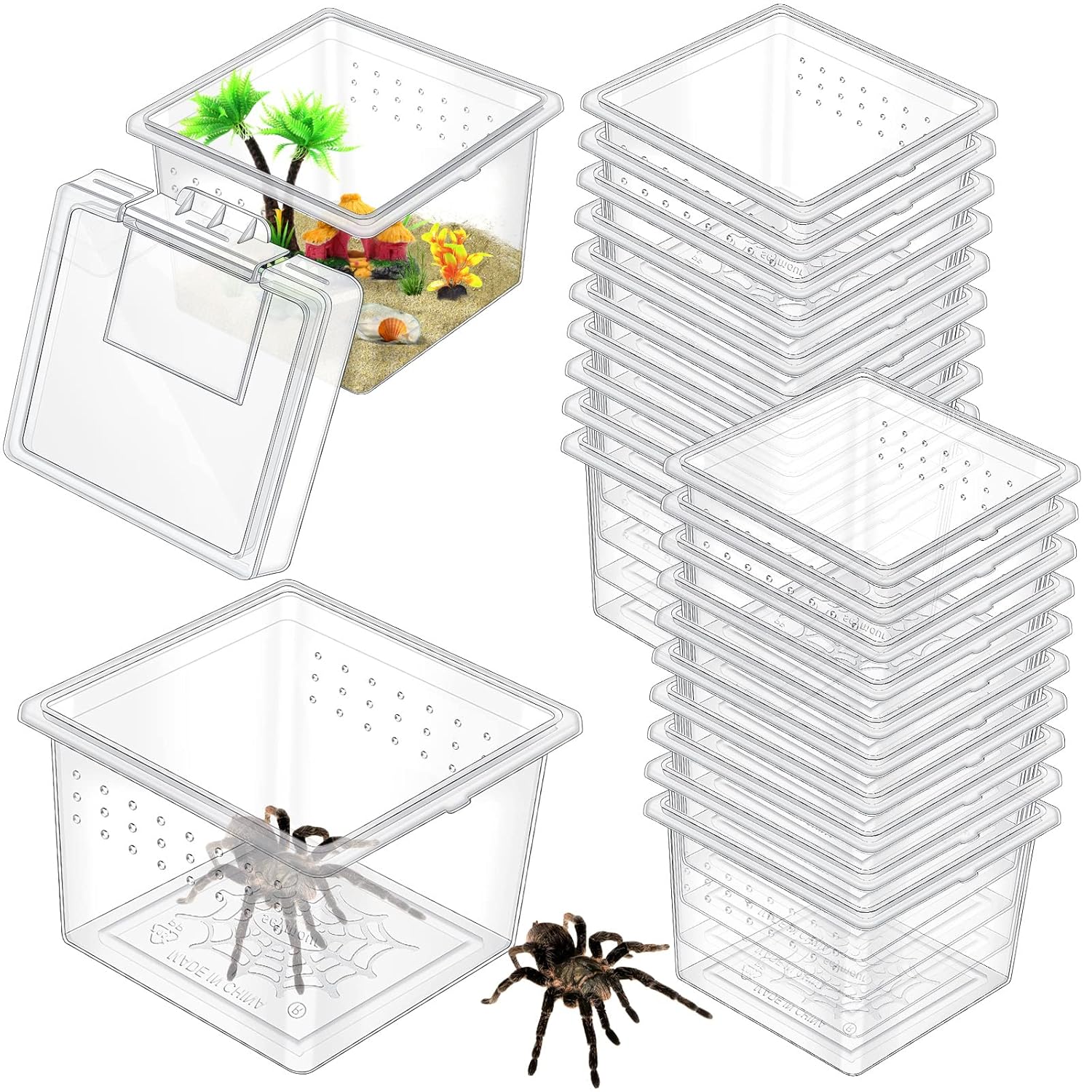 Nuanchu 20 Pcs Insect Spider Terrariums Breeding Box Transparent Reptile Hatching Container for Scorpion Gecko Tortoise Centipede Tarantula