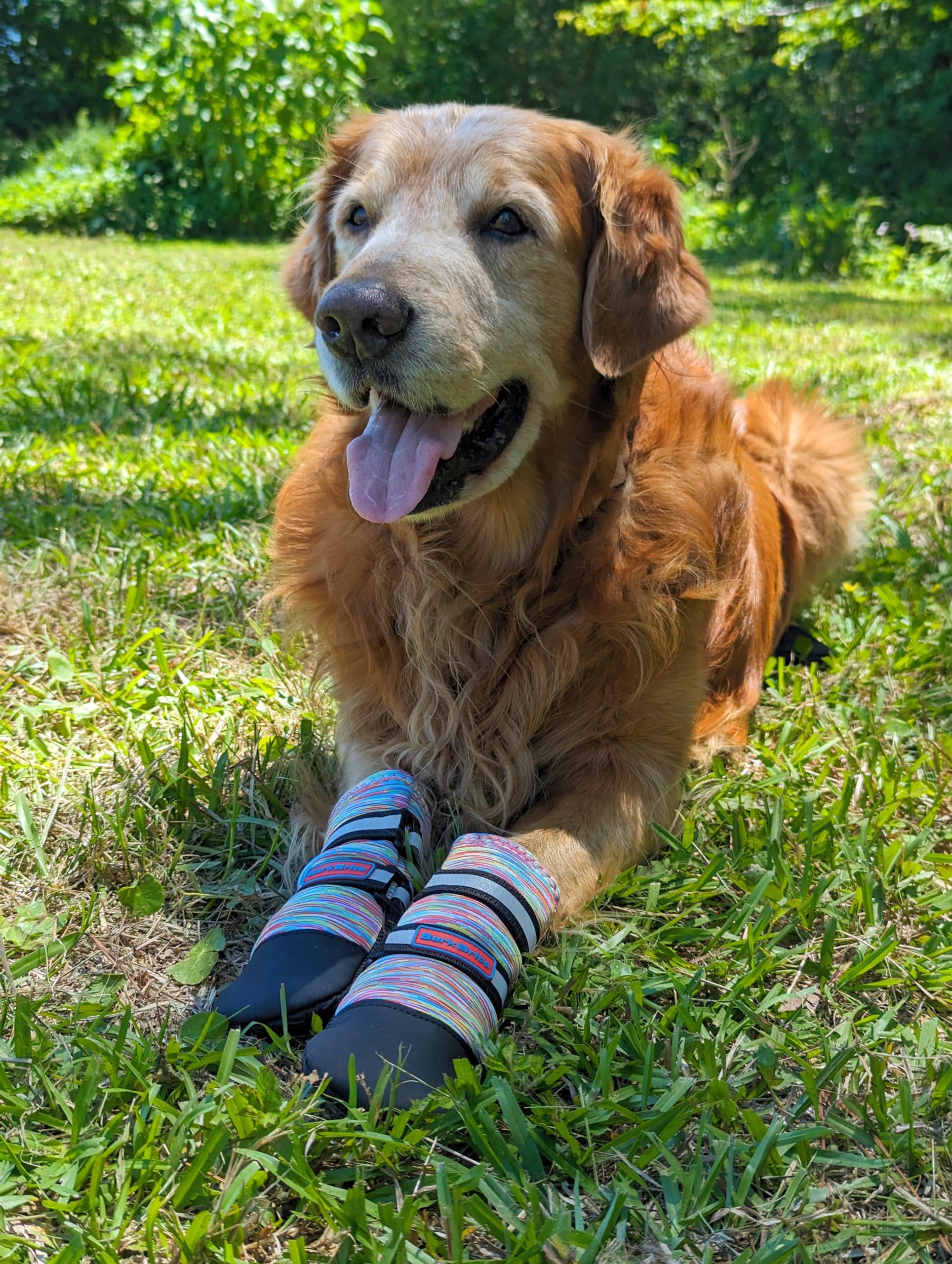 Bark Brite All Weather Neoprene Dog Boots with Reflective Straps Available in 5 Sizes Turquoise XL - View 7 of 7