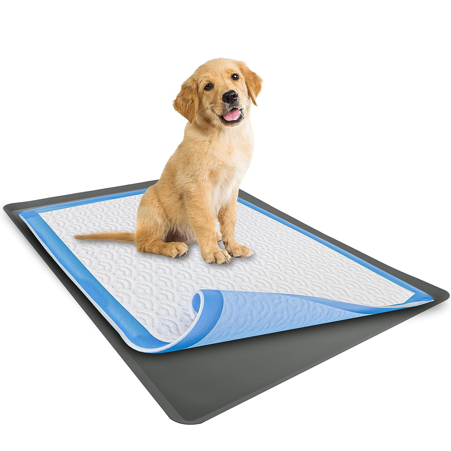 Skywin Skywin Dog Pad Holder Tray for 23 x 30 Inches Training Pads Easy to Clean No Spill Pee Pad Holder for Dogs Grey