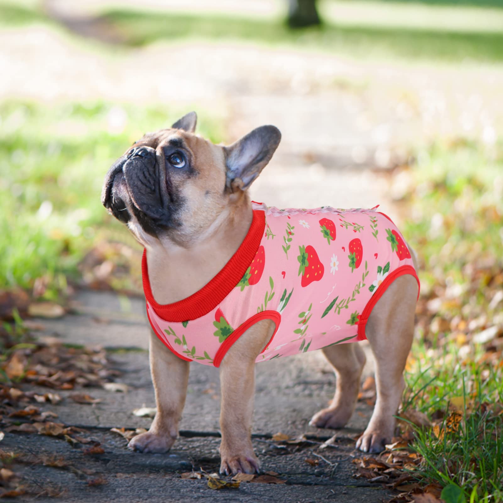 SAWMONG SAWMONG 2 Pack Recovery Suit for Dogs Surgical Suit Spay Neuter E Collar Strawberry Peach Size S - View 9 of 9