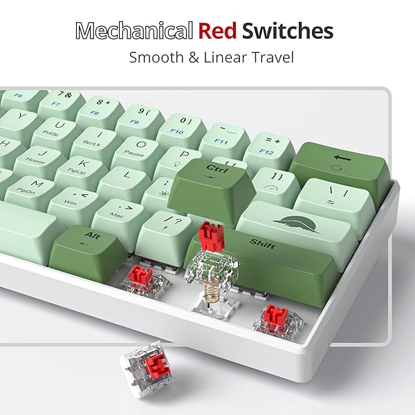 Fogruaden Fogruaden 60 Percent Mechanical Gaming Keyboard RGB Backlit Mini Wired Matcha Red Switch MDA PBT Keycaps for Win Mac PC Laptop - View 5 of 9