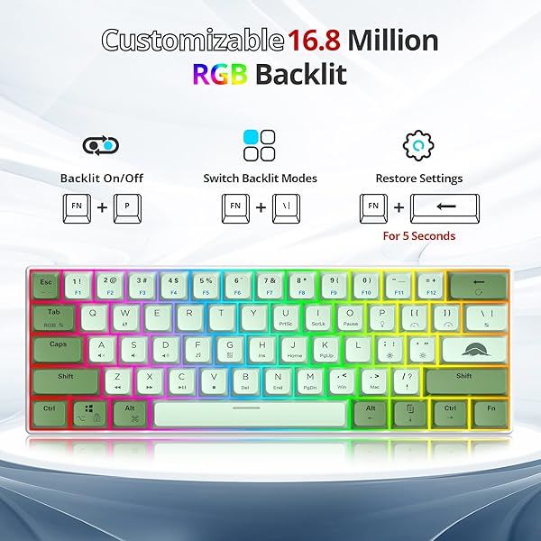 Fogruaden Fogruaden 60 Percent Mechanical Gaming Keyboard RGB Backlit Mini Wired Matcha Red Switch MDA PBT Keycaps for Win Mac PC Laptop - View 6 of 9