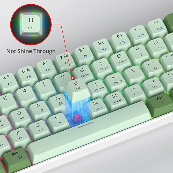 Fogruaden Fogruaden 60 Percent Mechanical Gaming Keyboard RGB Backlit Mini Wired Matcha Red Switch MDA PBT Keycaps for Win Mac PC Laptop - View 9 of 9