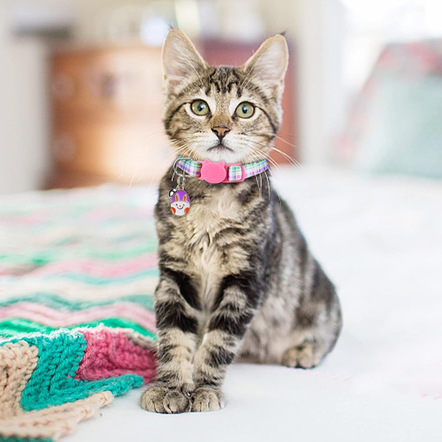 CooShou CooShou 4PCS Easter Cat Breakaway Collars with Bells and Egg Pendants Adjustable for Kittens and Small Dogs - View 2 of 7