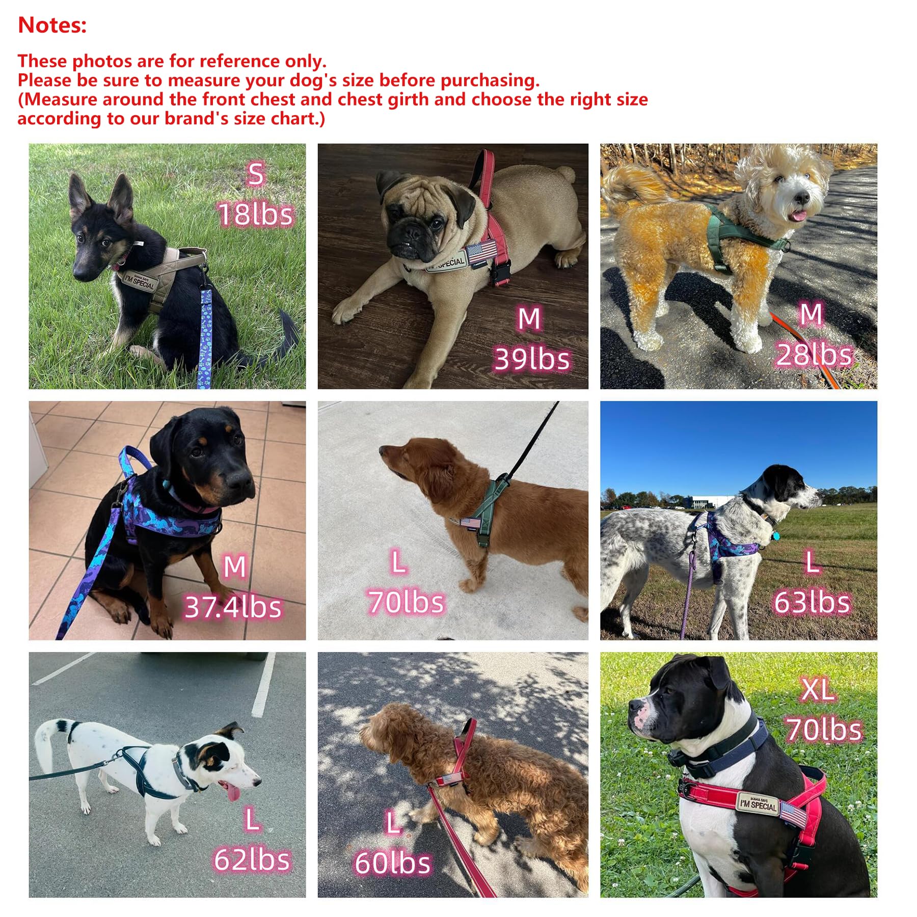 Annchwool Annchwool No Pull Dog Harness with Padded Handle and 5 Ft Leash Escape Proof Quick Fit Adjustable for Small Medium Large Dogs Brown Set M - View 8 of 9