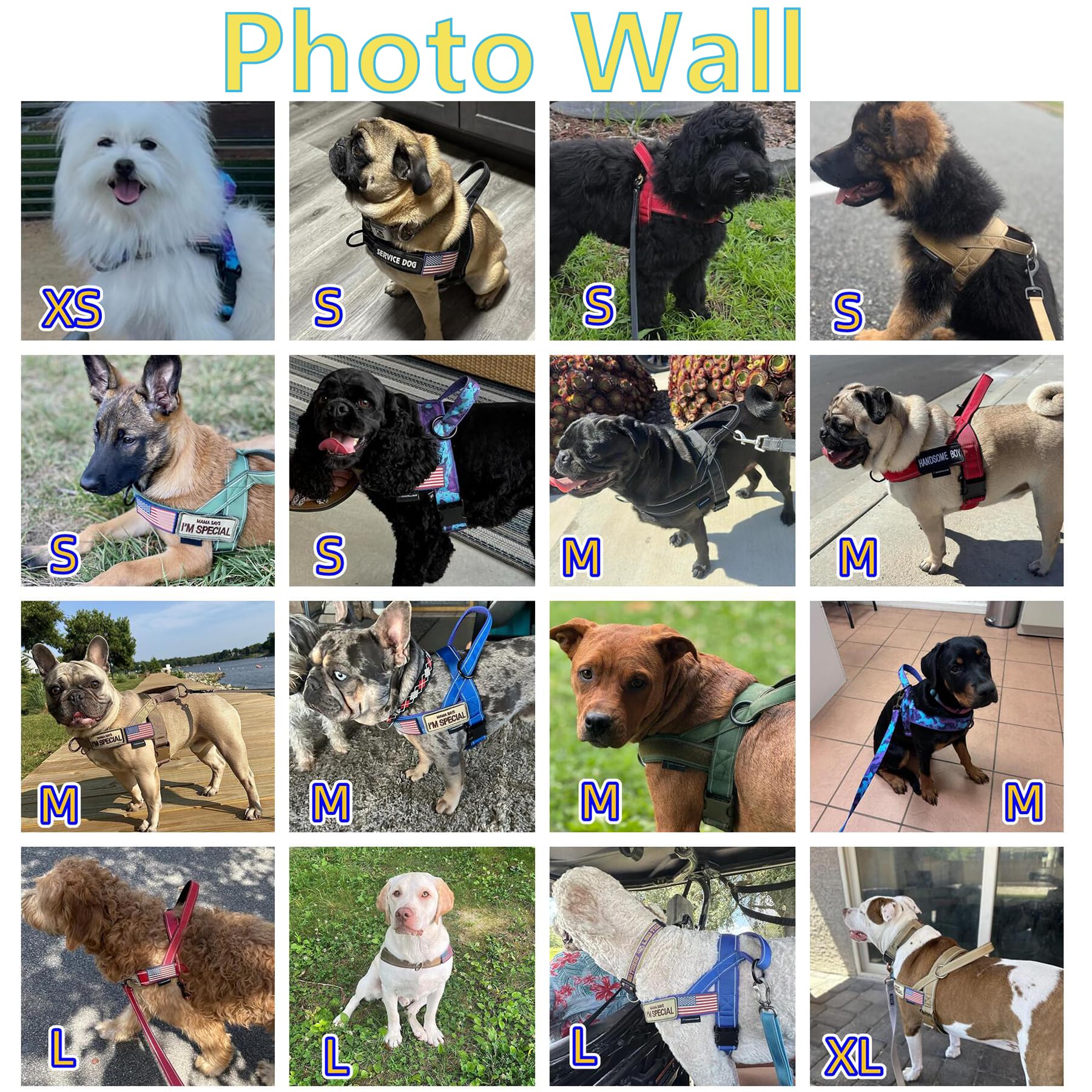 Annchwool Annchwool No Pull Dog Harness with Padded Handle and 5 Ft Leash Escape Proof Quick Fit Adjustable for Small Medium Large Dogs Brown Set M - View 9 of 9