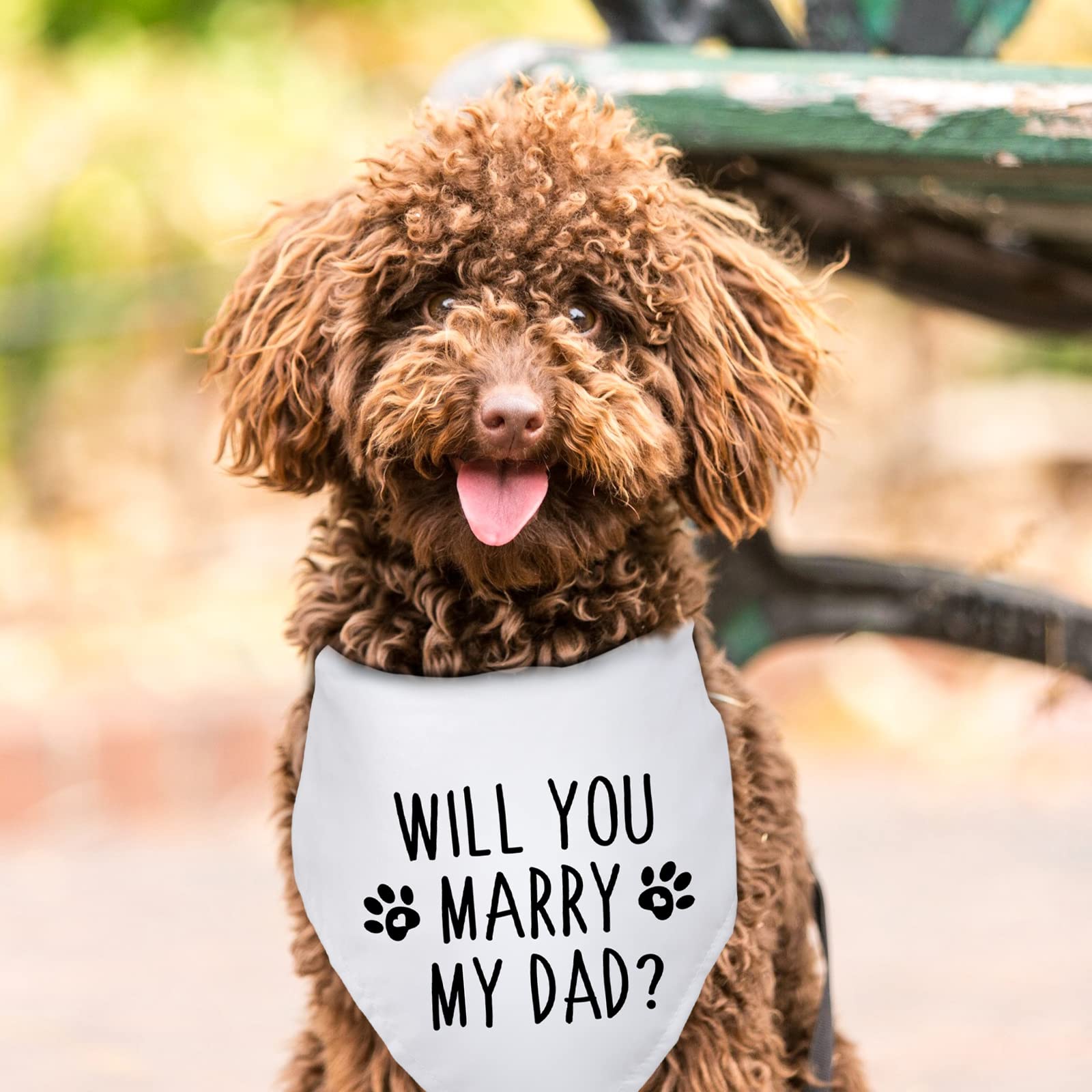 Yishuliwu Will You Marry My Dad Dog Engagement Announcement Bandana Wedding Photo Prop for Dog Lovers Pet Accessories Gift - View 3 of 6