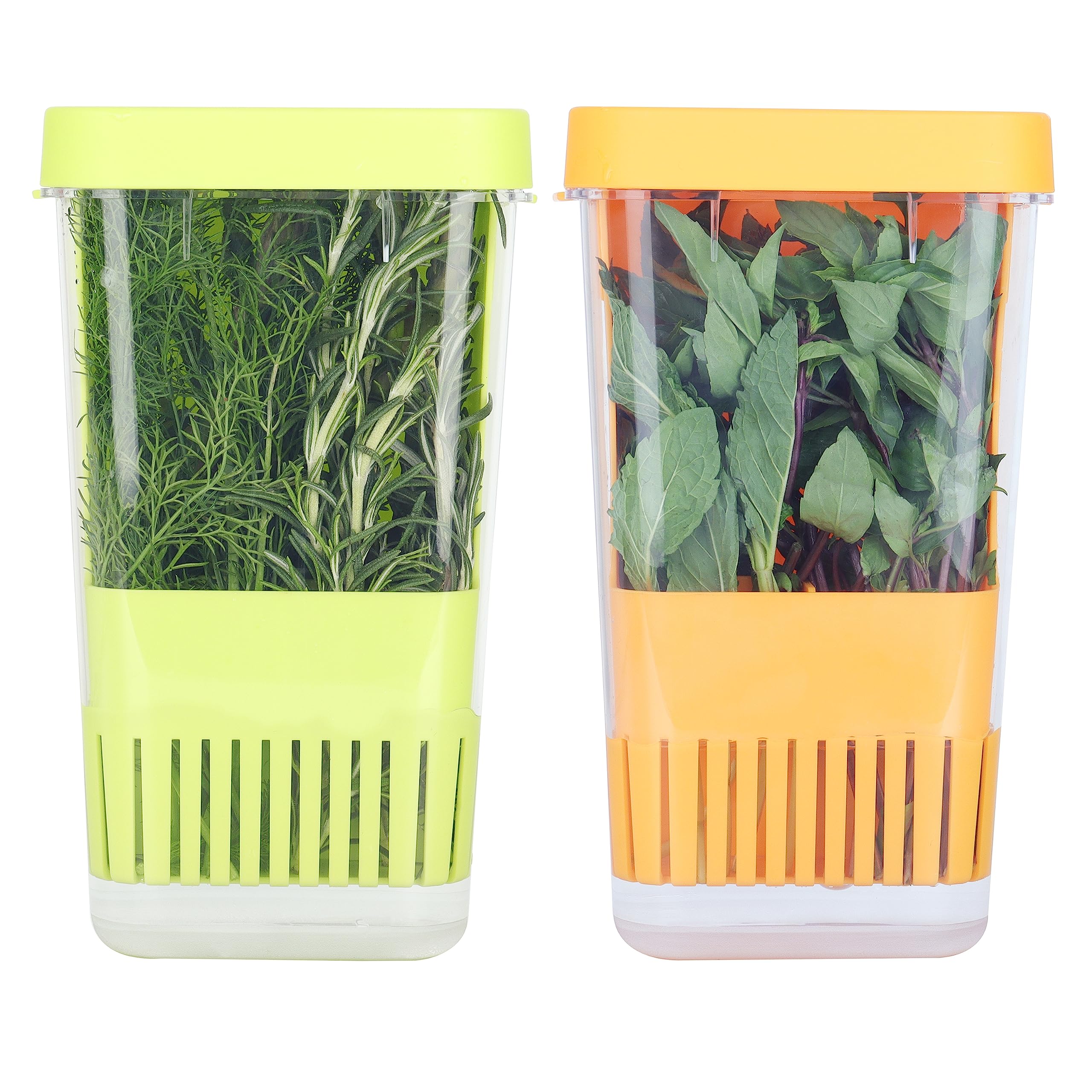 LUVCOSY Fresh Herb Keeper for Refrigerator, Clear BPA-Free Herb Saver, Storage Container for Cilantro, Parsley, Thyme, Mint and Asparagus, Preserver