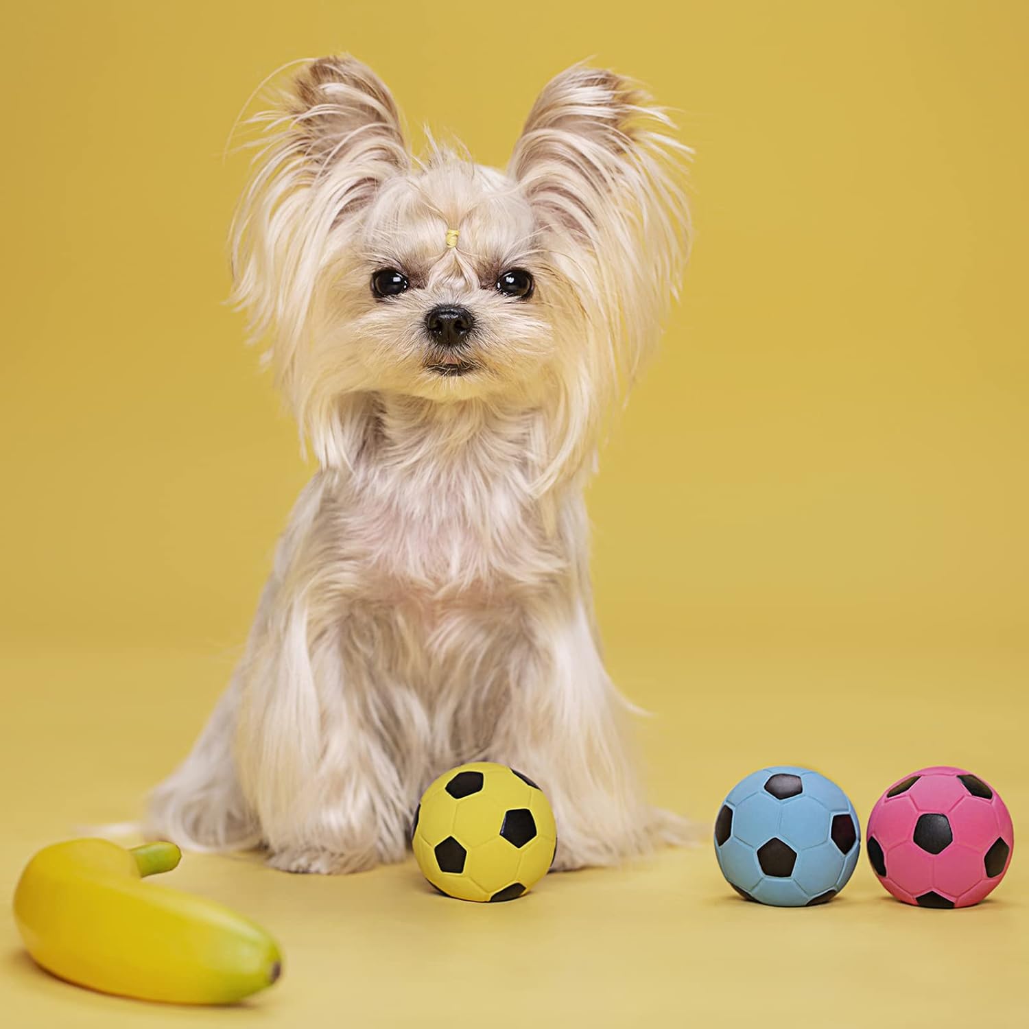 Pawdoer Pawdoer Squeaky Dog Ball Soft Latex Rubber Toy for Small Dogs and Puppies Perfect for Fetch and Play - View 6 of 9