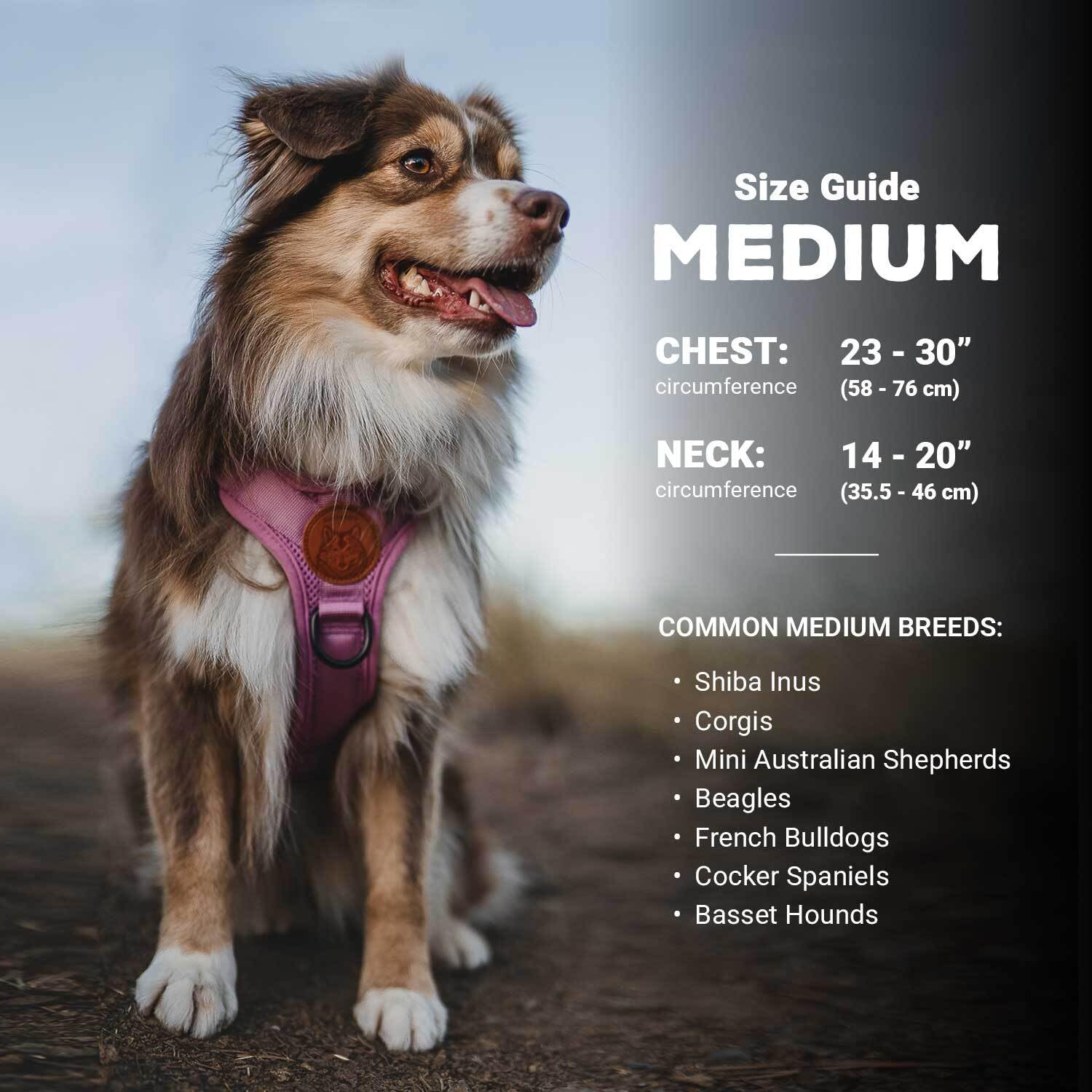 Wilderdog Wilderdog Lightweight Dog Harness Medium Huckleberry with Reflective Straps for Comfortable Outdoor Adventures - View 3 of 6