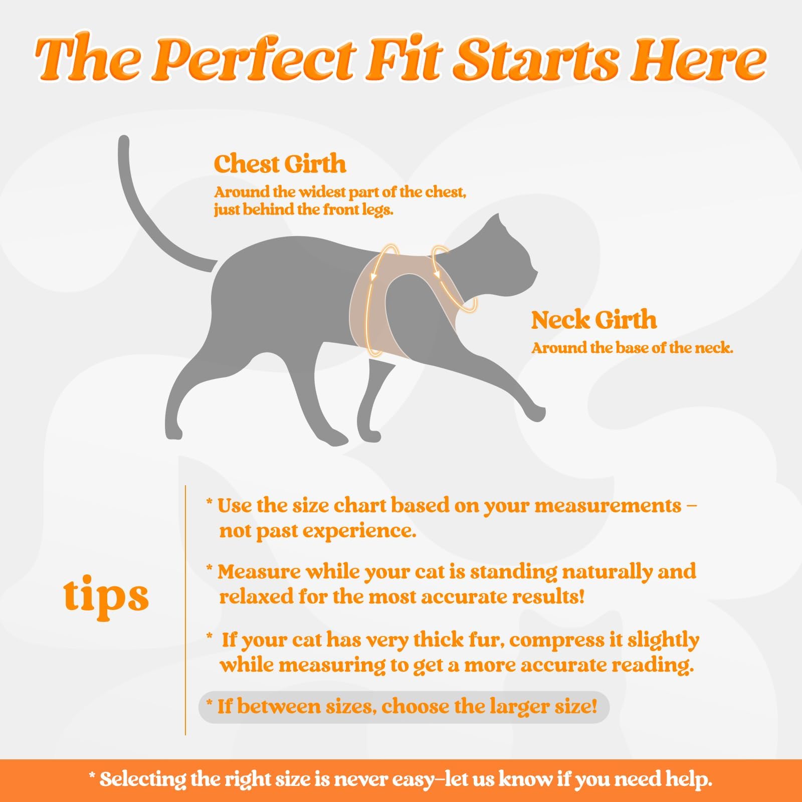 rabbitgoo Rabbitgoo Cat Harness and Leash Set Adjustable Soft Escape Proof Vest for Cats Light Orange M Comfortable Outdoor Walking Gear - View 2 of 9