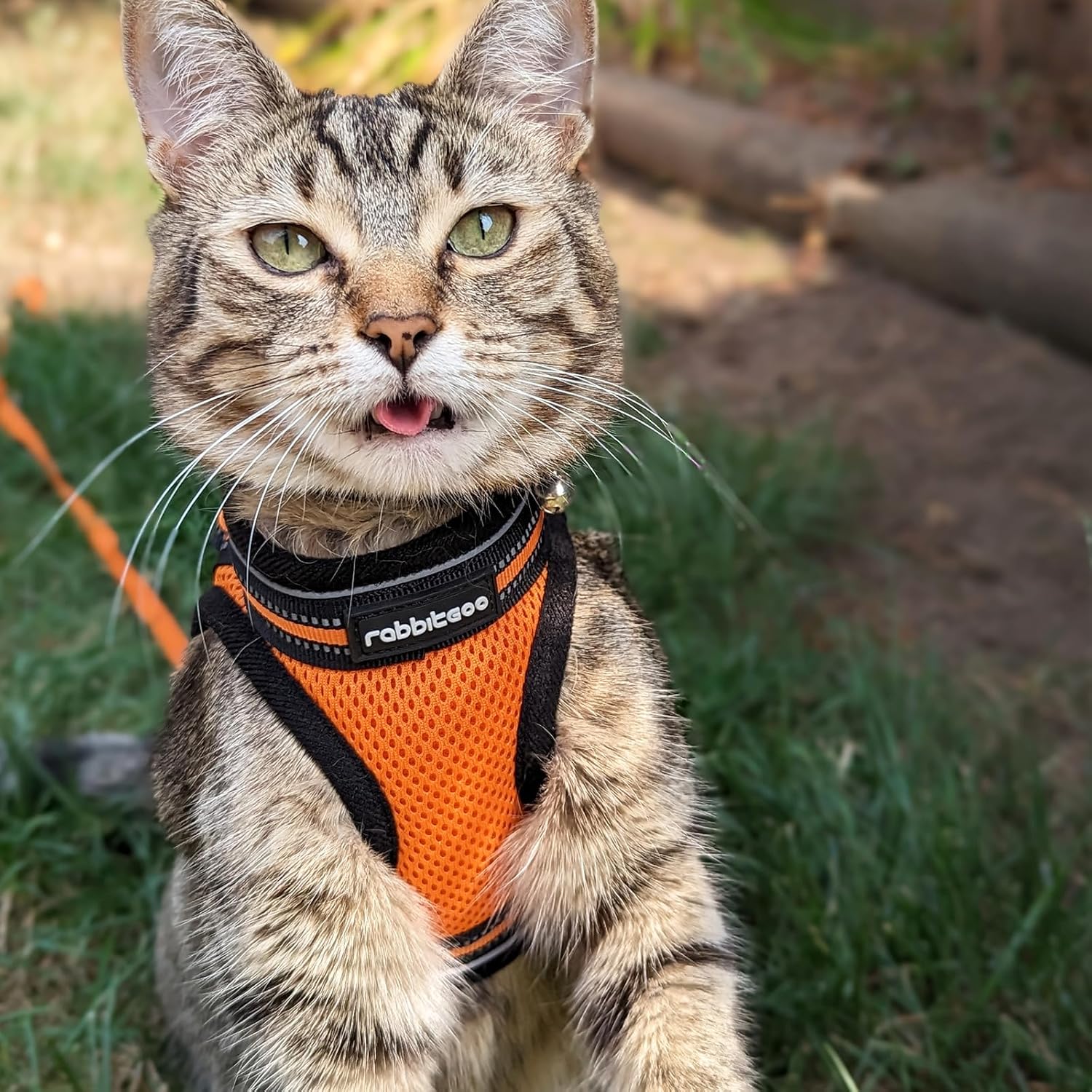 rabbitgoo Rabbitgoo Cat Harness and Leash Set Adjustable Soft Escape Proof Vest for Cats Comfortable Outdoor Use Light Orange Large - View 9 of 9