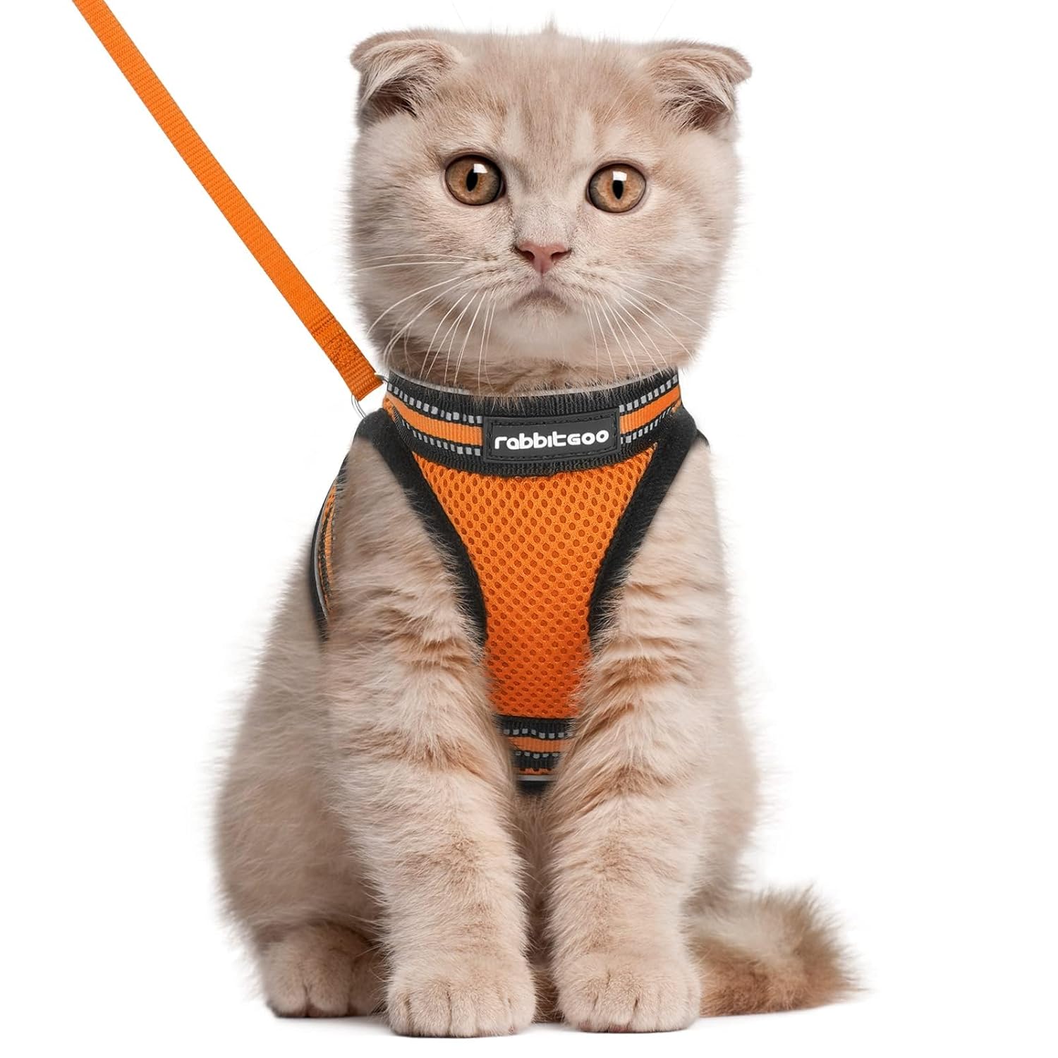 rabbitgoo Rabbitgoo Cat Harness and Leash Set Adjustable Soft Escape Proof Vest for Cats Comfortable Outdoor Use Light Orange Large