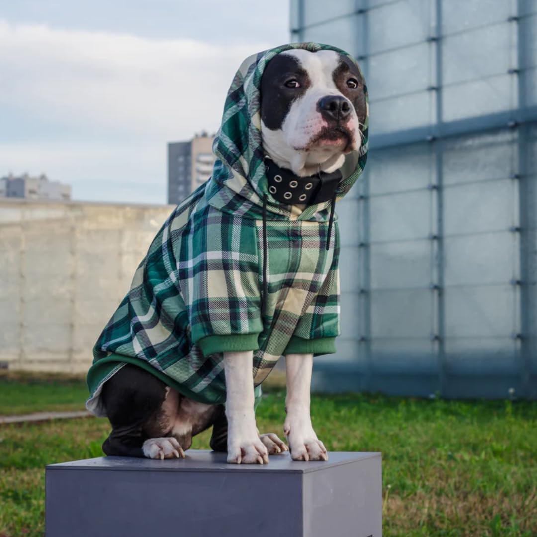 Spark Paws Spark Paws Dog Hoodie Premium Quality Buttery Soft Fleece Interior Green Plaid 2XL Superior Comfort for All Breeds - View 4 of 9
