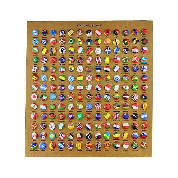 Flylin 291 National Flag Push Pins for Cork Boards - Decorative Steel Pins for School & Home Office