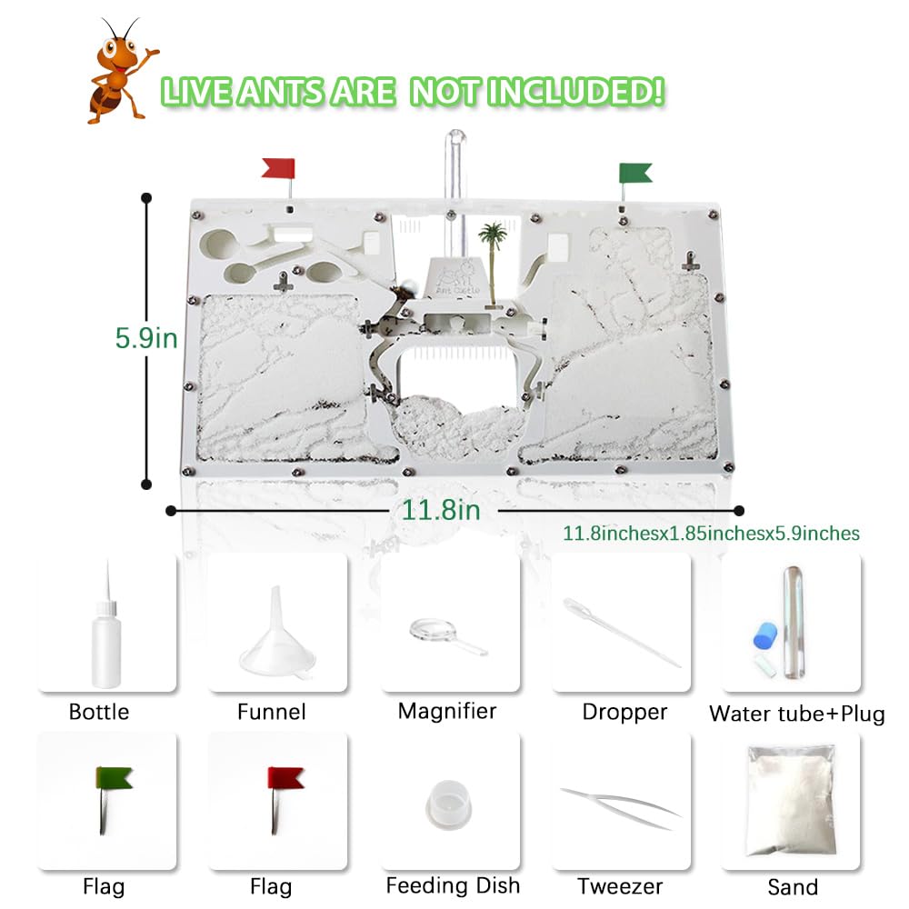 ELNMLHT ELNMLHT Ant Farm Castle Live Ant Habitat and Observation Kit for Kids and Students Educational Fun Science Activity - View 3 of 6