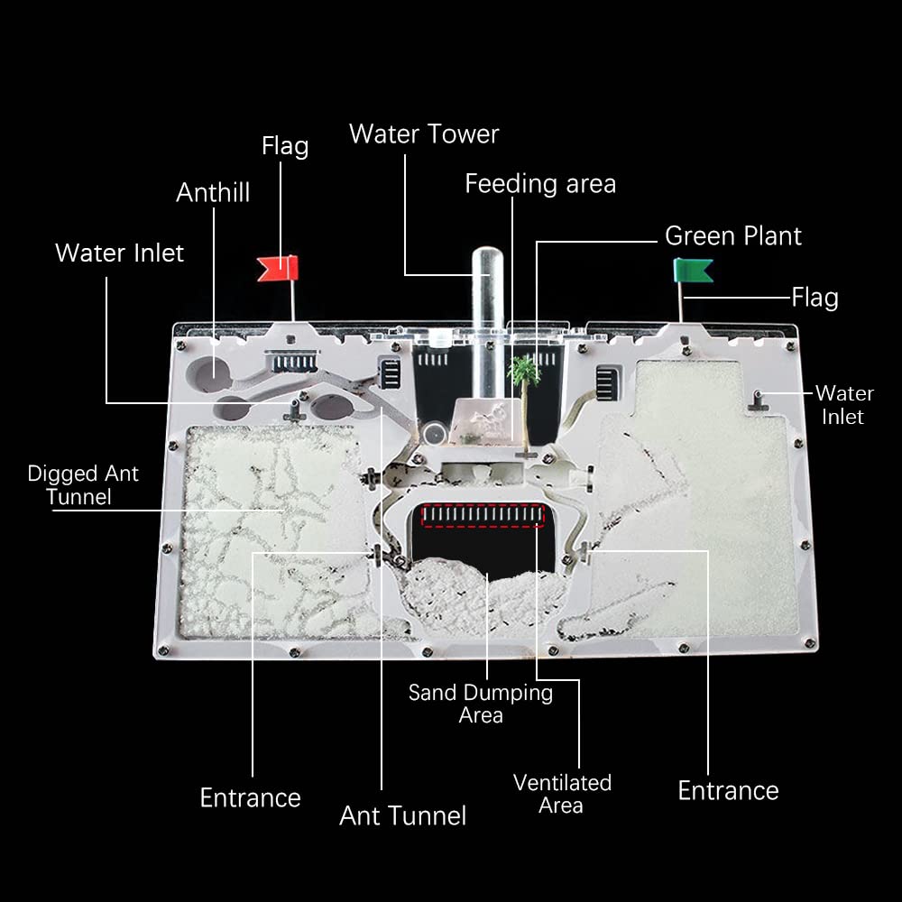 ELNMLHT ELNMLHT Ant Farm Castle Live Ant Habitat and Observation Kit for Kids and Students Educational Fun Science Activity - View 4 of 6