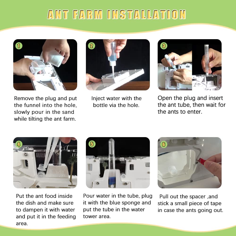 ELNMLHT ELNMLHT Ant Farm Castle Live Ant Habitat and Observation Kit for Kids and Students Educational Fun Science Activity - View 5 of 6